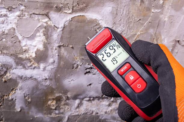 Best Same-Day Mold Removal  in New Sharon, IA