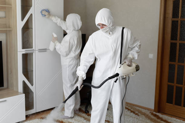 Best Crawl Space Mold Removal  in New Sharon, IA