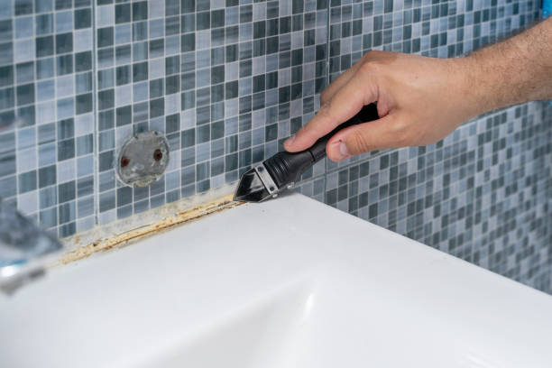 Reliable New Sharon, IA Mold Removal Solutions